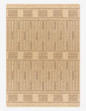 Alasa Indoor / Outdoor Rug