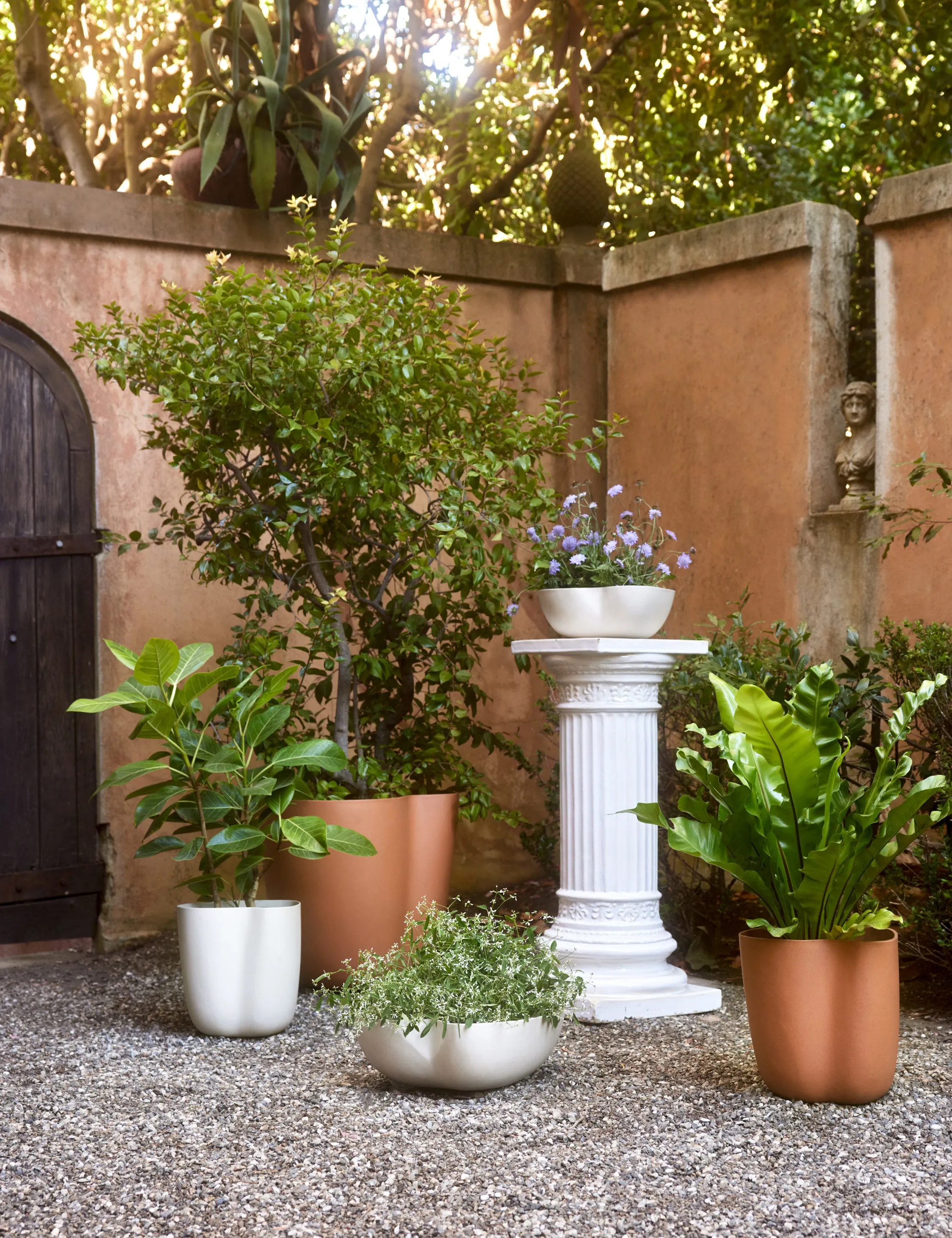 Dempsy Planter by Sarah Sherman Samuel