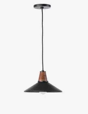 Doherty Pendant Light