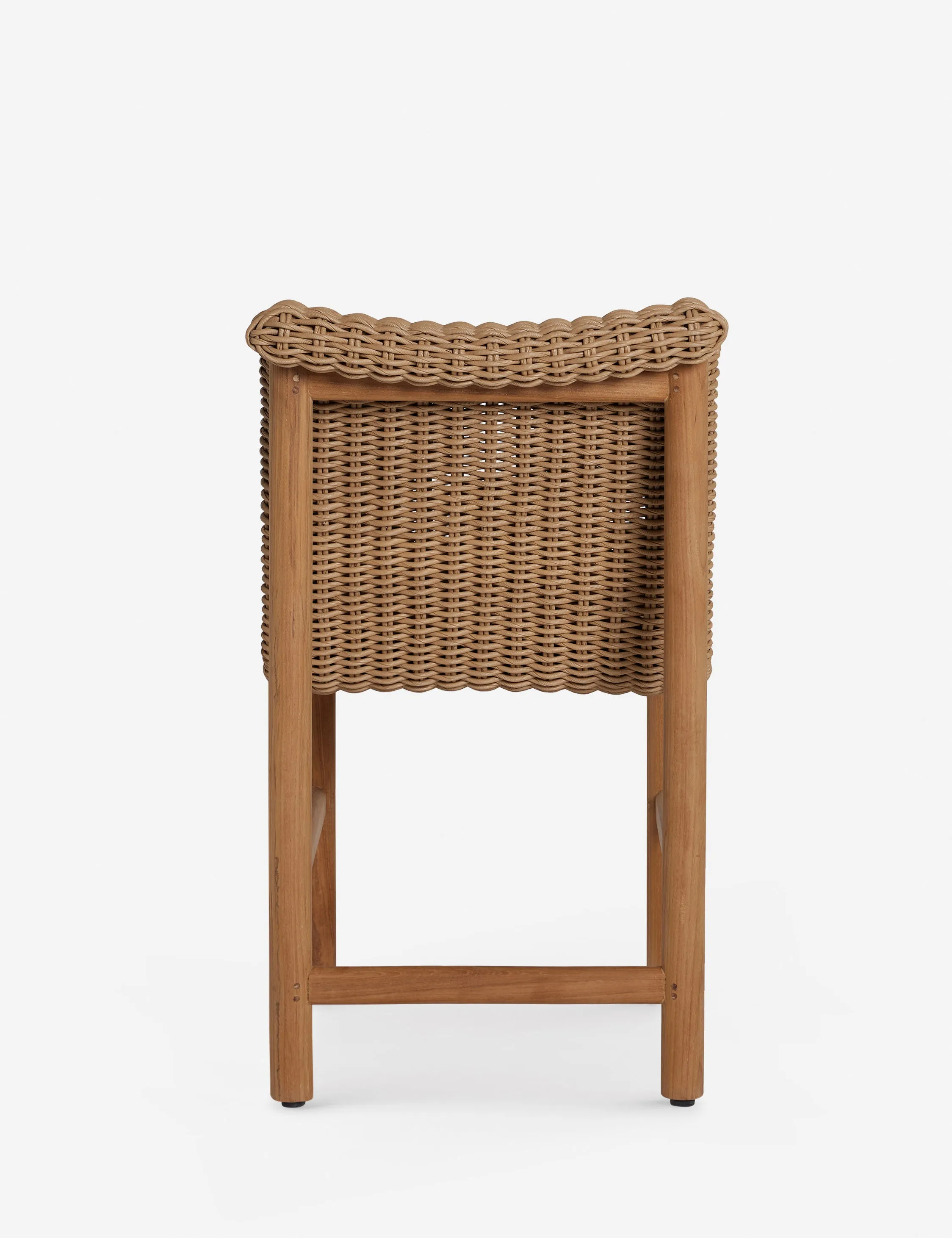 Gally Indoor / Outdoor Dining Chair