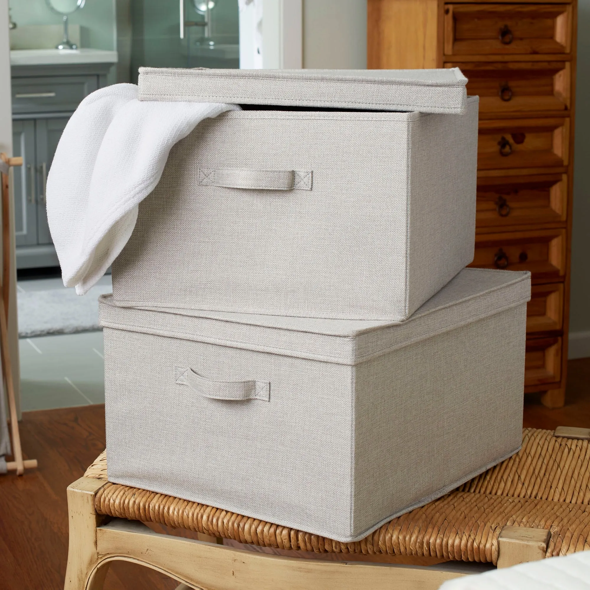 Household Essentials Canvas Storage Bins with Removable Lids (Set of 2)