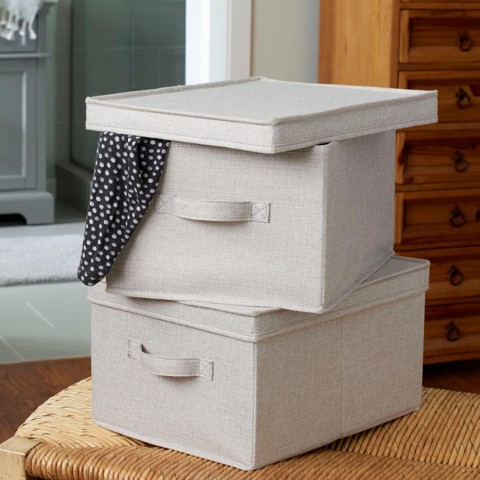 Household Essentials Canvas Storage Bins with Removable Lids (Set of 2)