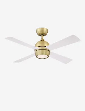 Indi Ceiling Fan   Light