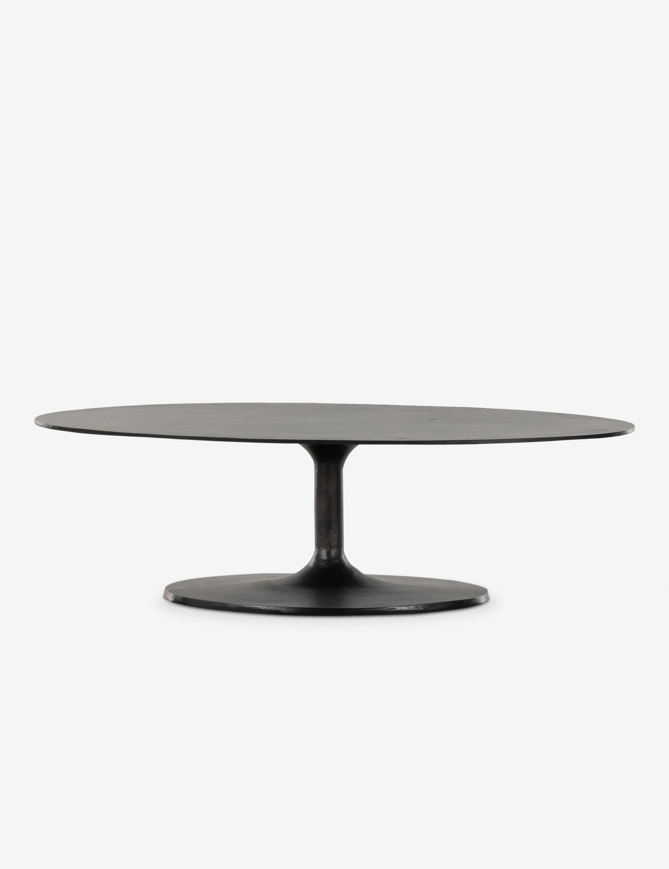 Inga Indoor / Outdoor Oval Coffee Table