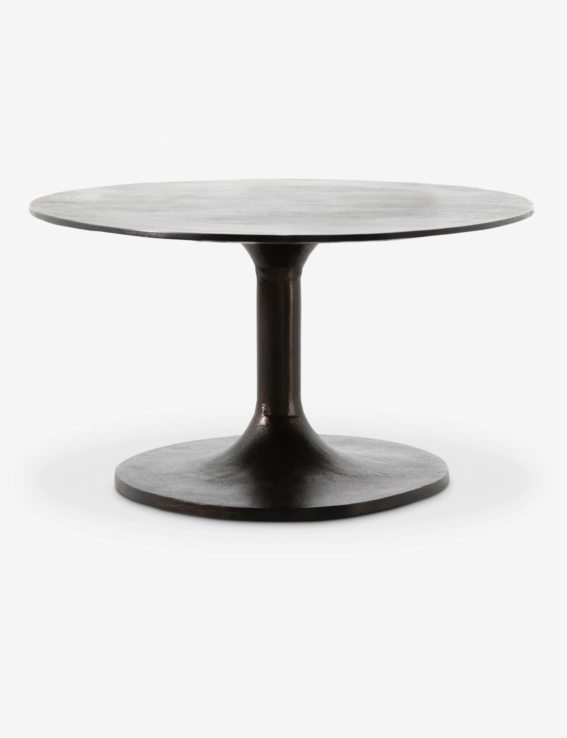 Inga Indoor / Outdoor Oval Coffee Table