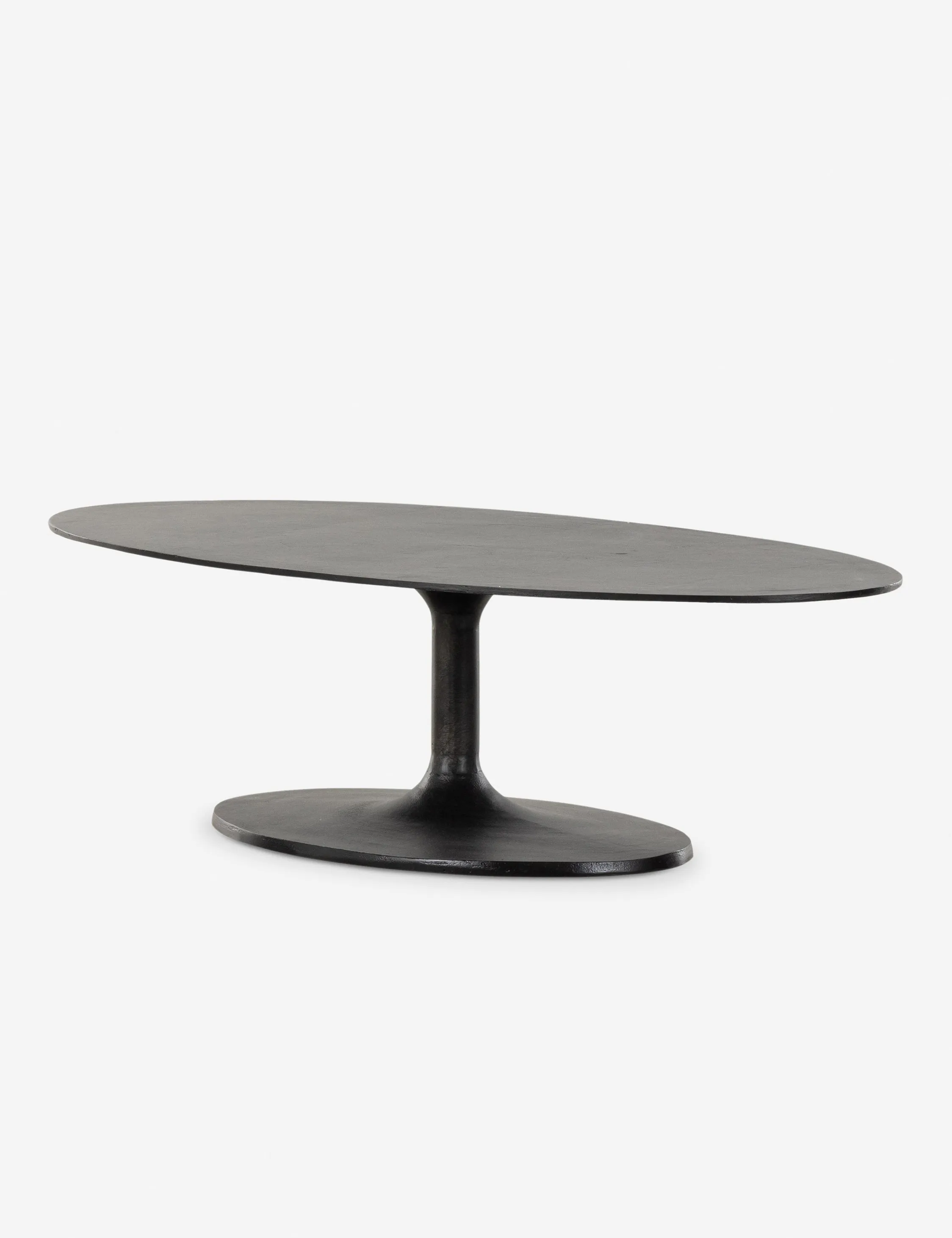 Inga Indoor / Outdoor Oval Coffee Table
