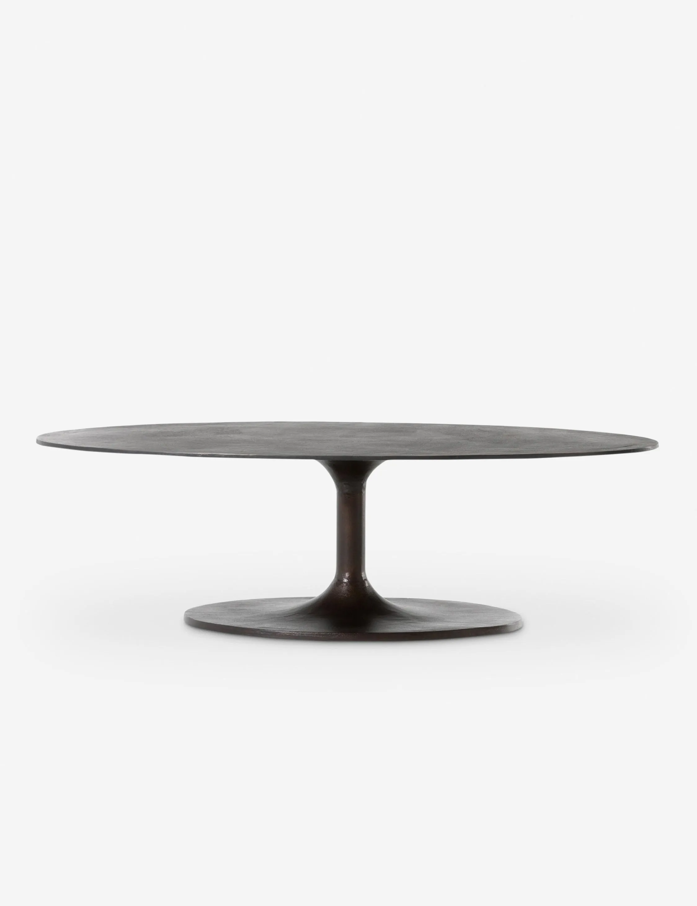 Inga Indoor / Outdoor Oval Coffee Table