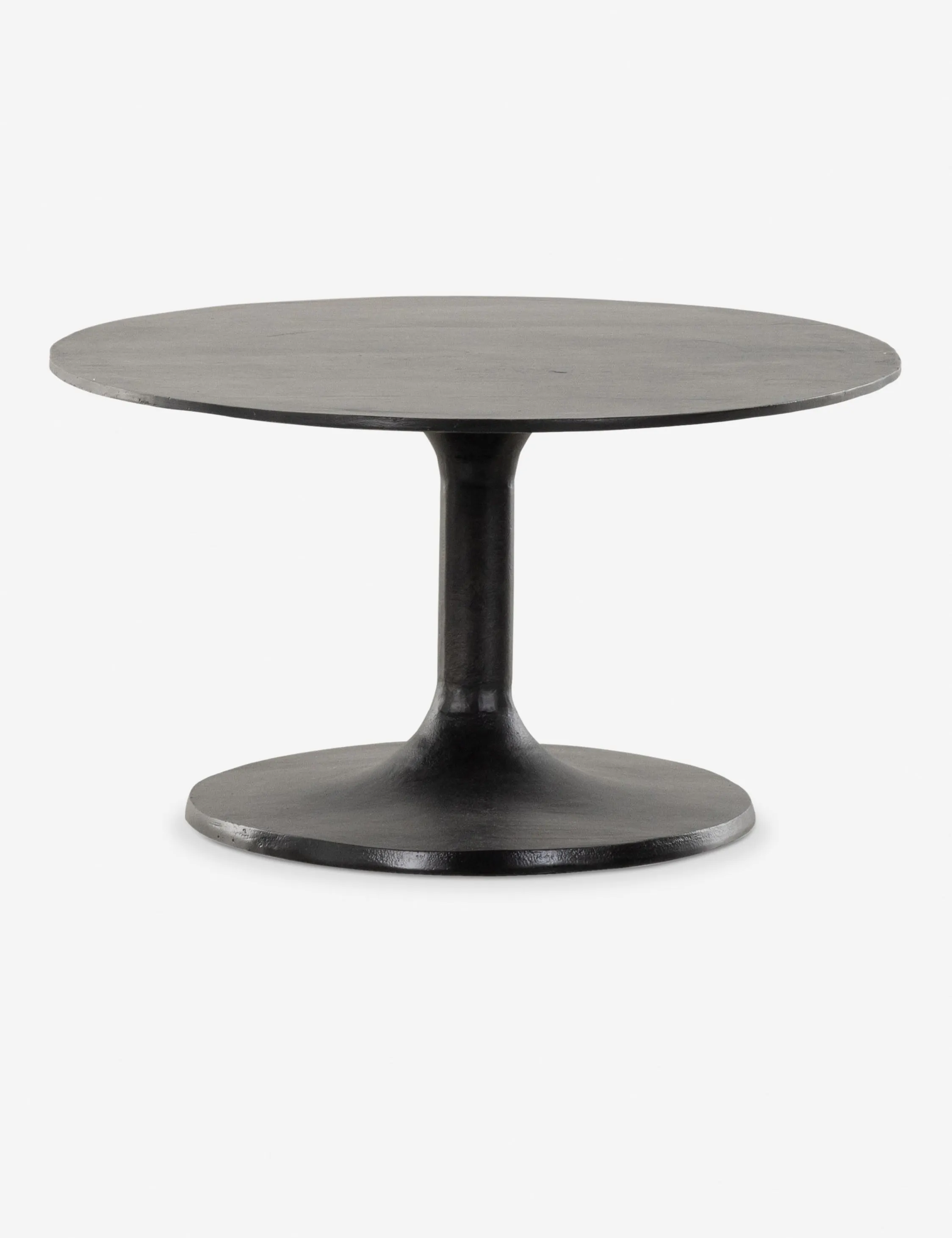 Inga Indoor / Outdoor Oval Coffee Table