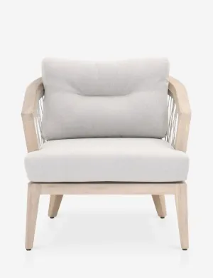 Joaquin Indoor / Outdoor Accent Chair