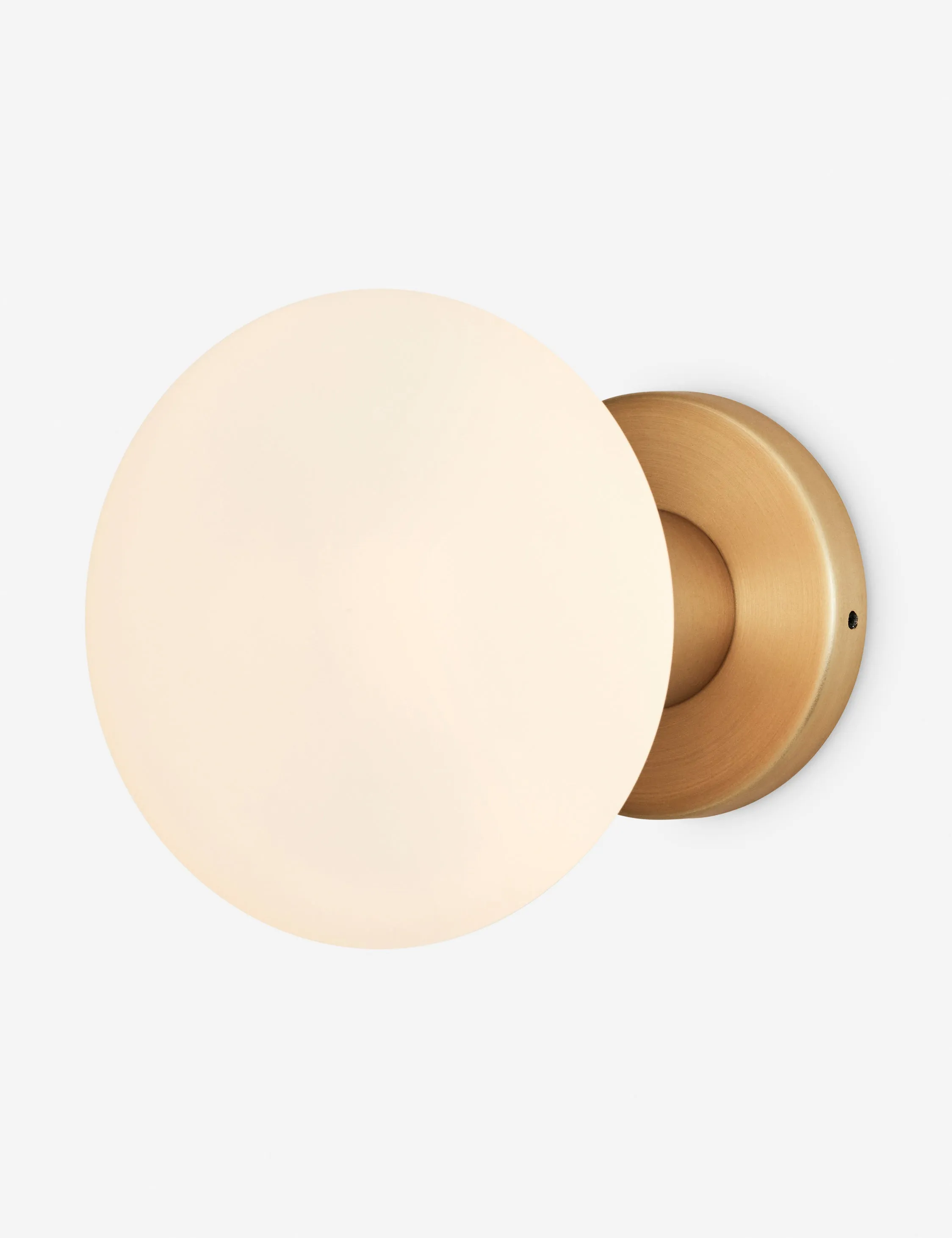 Lochan Outdoor Sconce with Oval by Tala