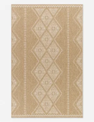 Mesny Indoor / Outdoor Rug