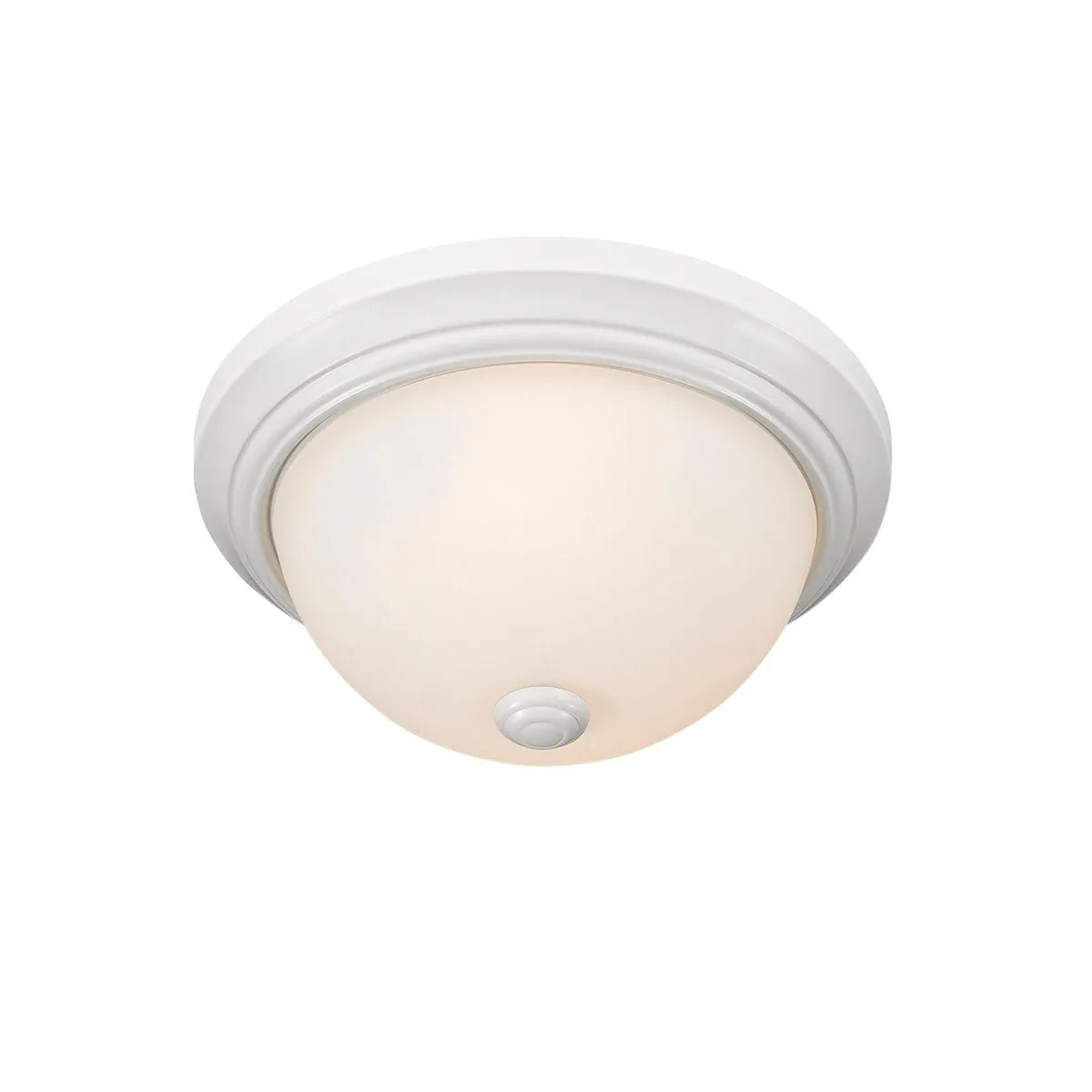 Millennium Lighting 11 Wide Ceiling Fixture