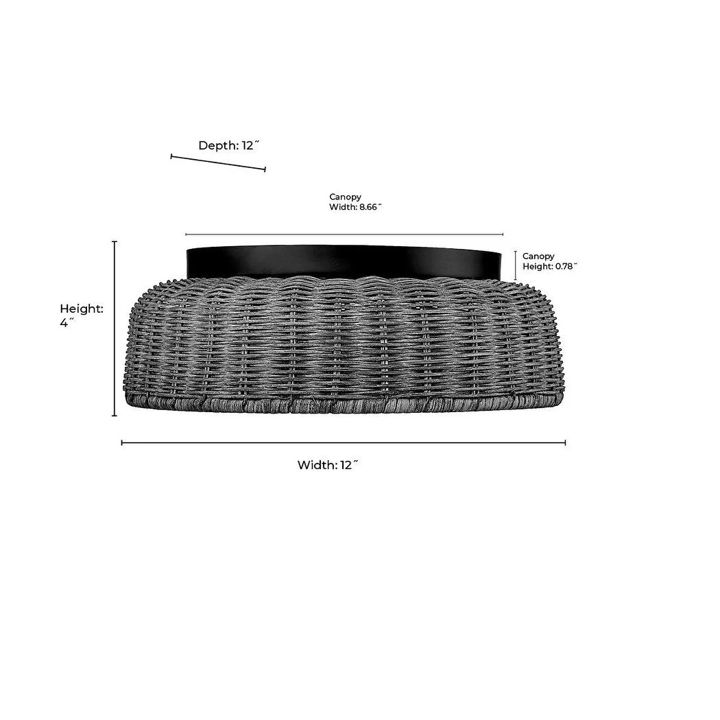 Millennium Lighting 14202 2 Light 12 Wide Flush Mount Ceiling Fixture