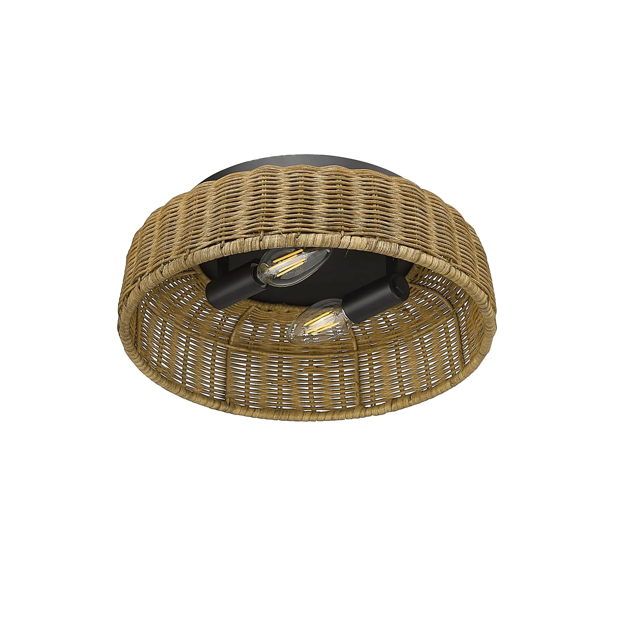 Millennium Lighting 14202 2 Light 12 Wide Flush Mount Ceiling Fixture