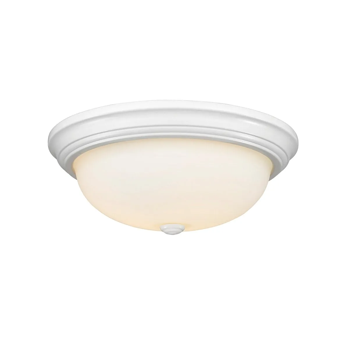 Millennium Lighting 15 Wide Ceiling Fixture