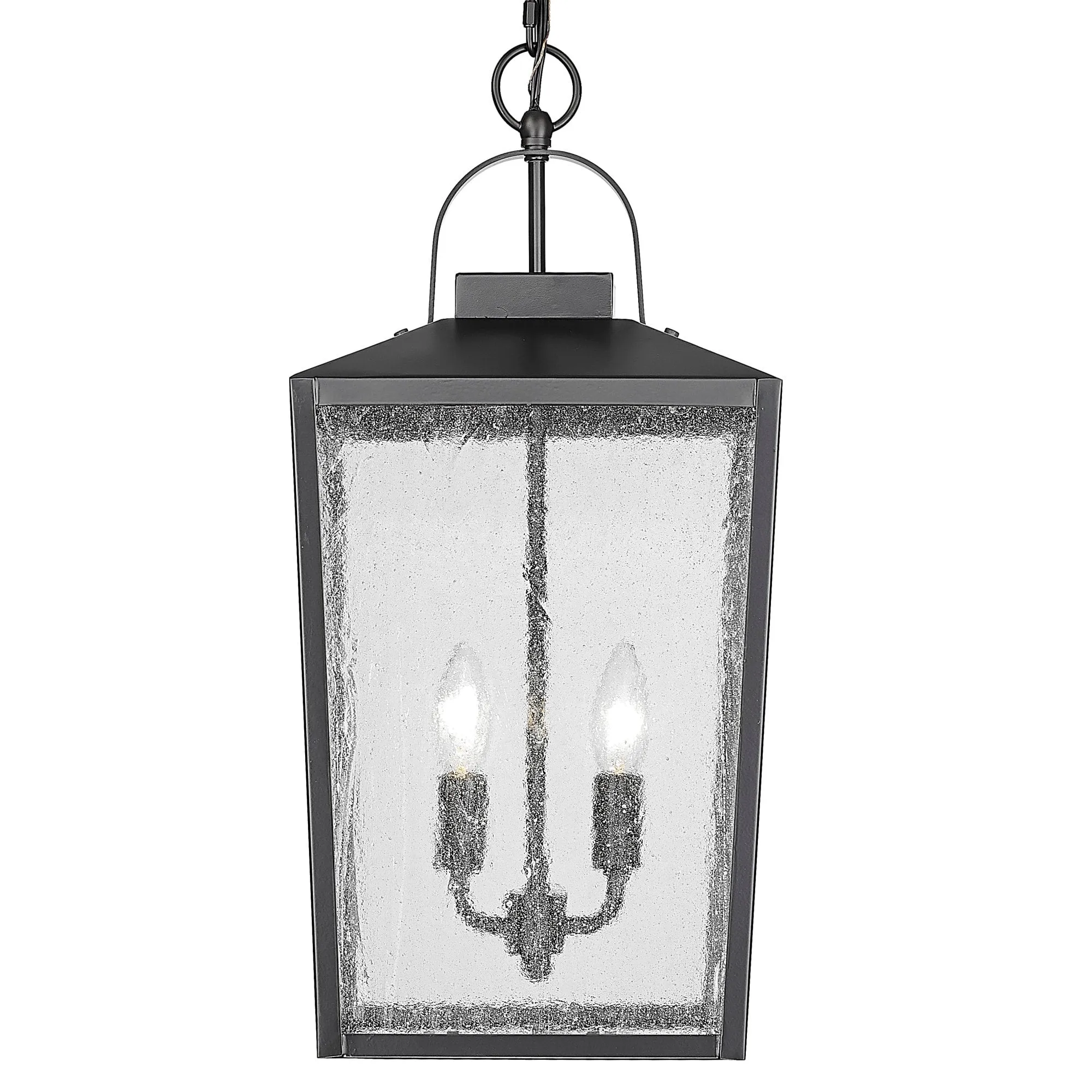 Millennium Lighting 42655 Devens 2 Light 10 Wide Outdoor Pendant