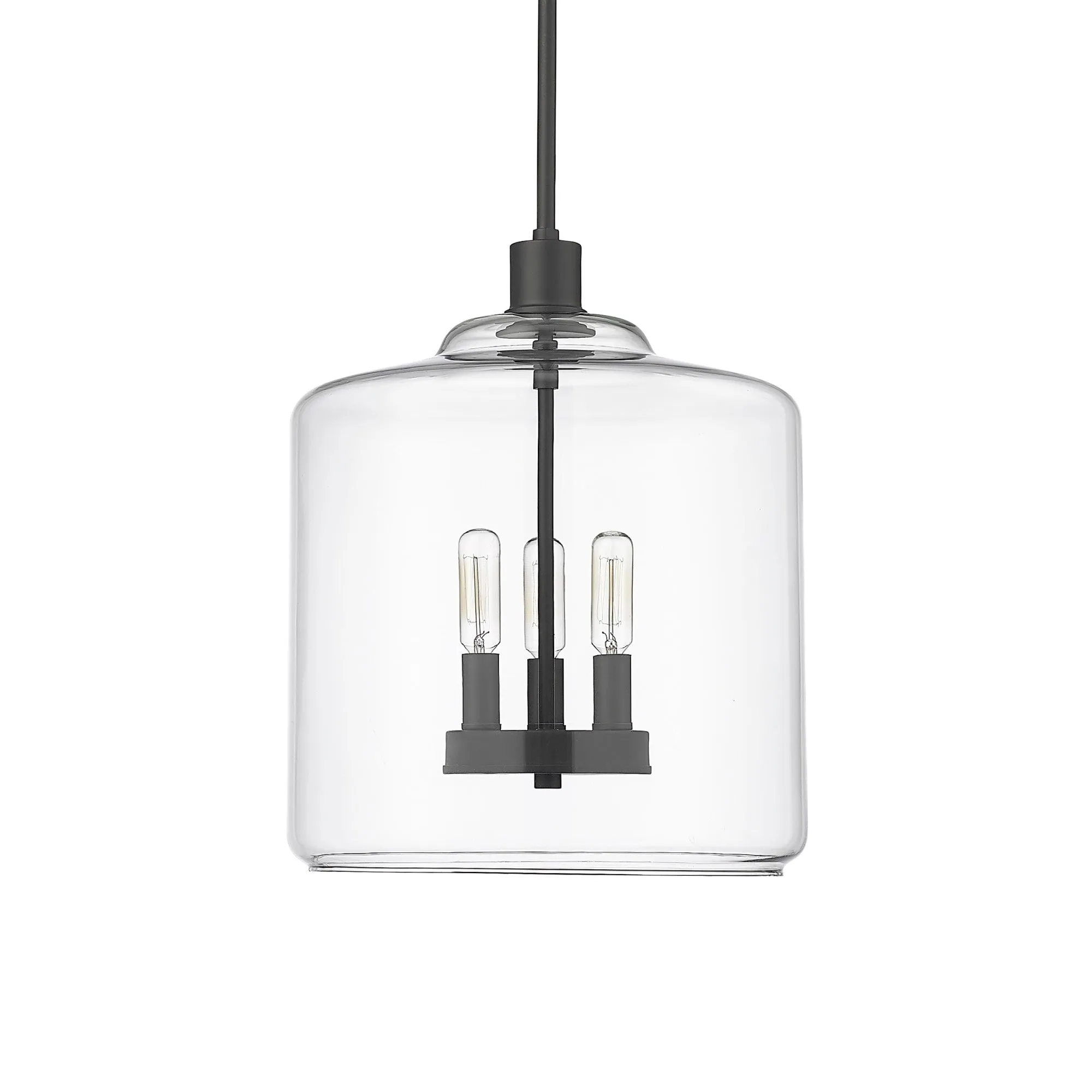 Millennium Lighting 46933 Asheville 3 Light 12 Wide Pendant