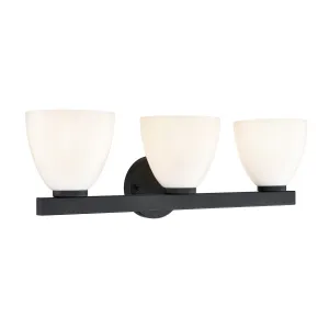 Millennium Lighting 49003 Apria 3 Light 24 Wide Vanity Light