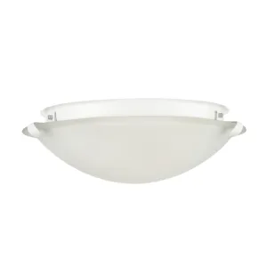 Millennium Lighting 61002 2 Light 12 Wide Flush Mount Ceiling Fixture