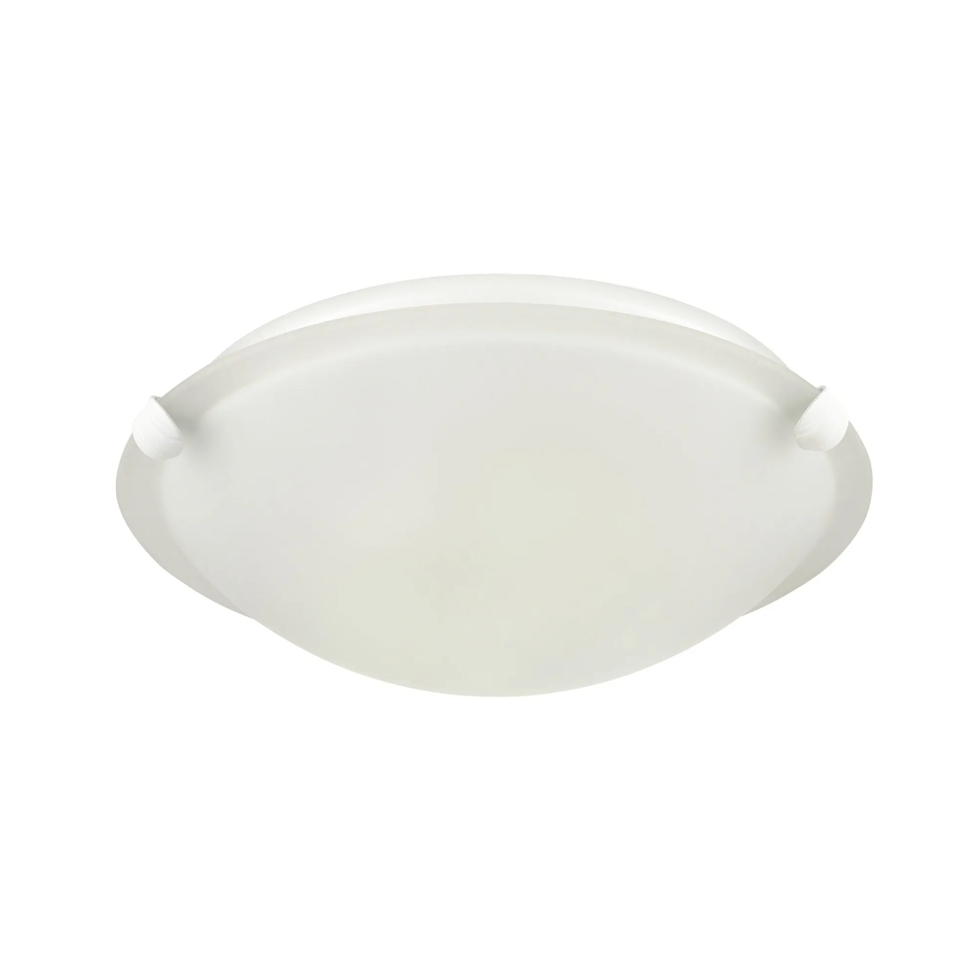 Millennium Lighting 61002 2 Light 12 Wide Flush Mount Ceiling Fixture