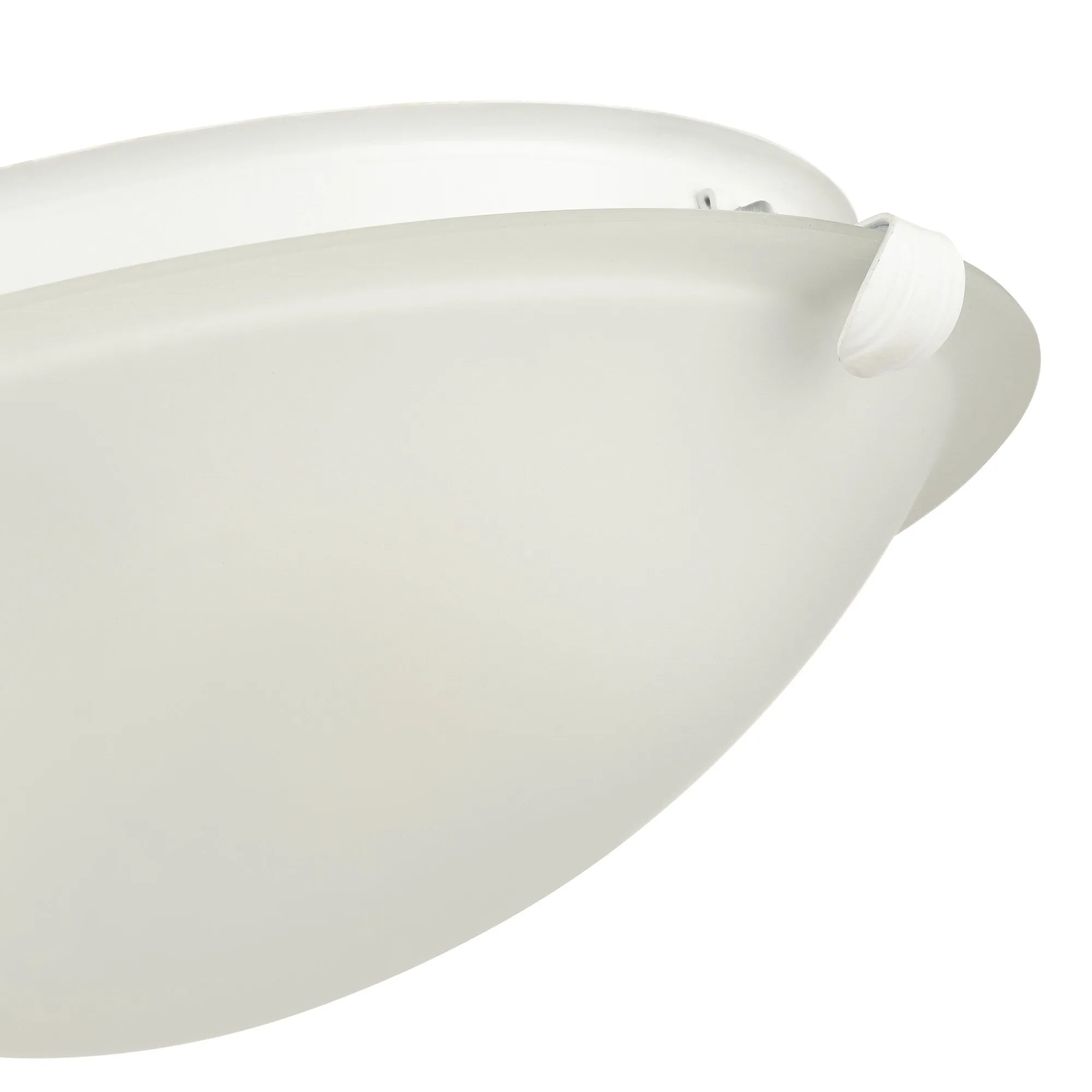 Millennium Lighting 61002 2 Light 12 Wide Flush Mount Ceiling Fixture