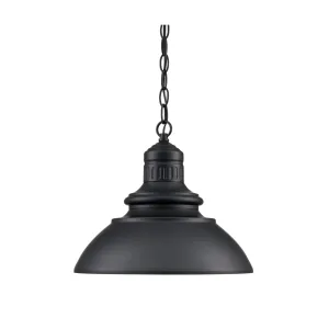 Millennium Lighting 81103 Adda 14 Wide Outdoor Pendant