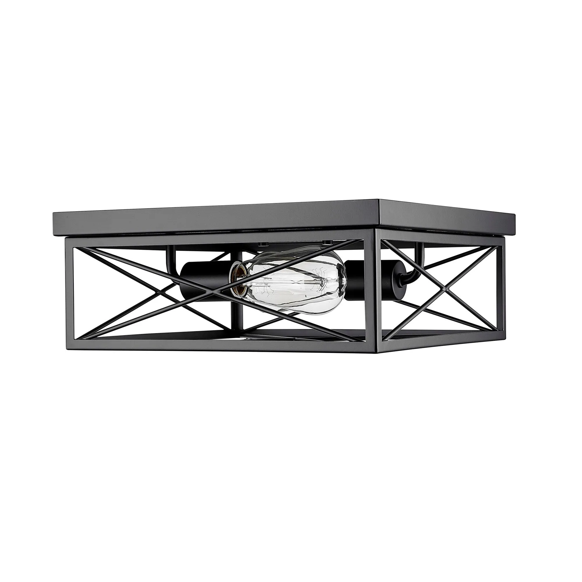 Millennium Lighting 94102 2 Light 13 Wide Flush Mount Ceiling Fixture