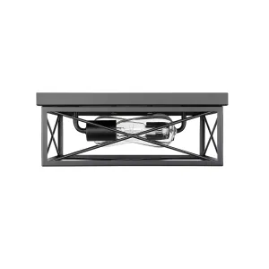 Millennium Lighting 94102 2 Light 13 Wide Flush Mount Ceiling Fixture