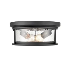Millennium Lighting Bresley 2 Light 12 Wide Outdoor Flush Mount Drum