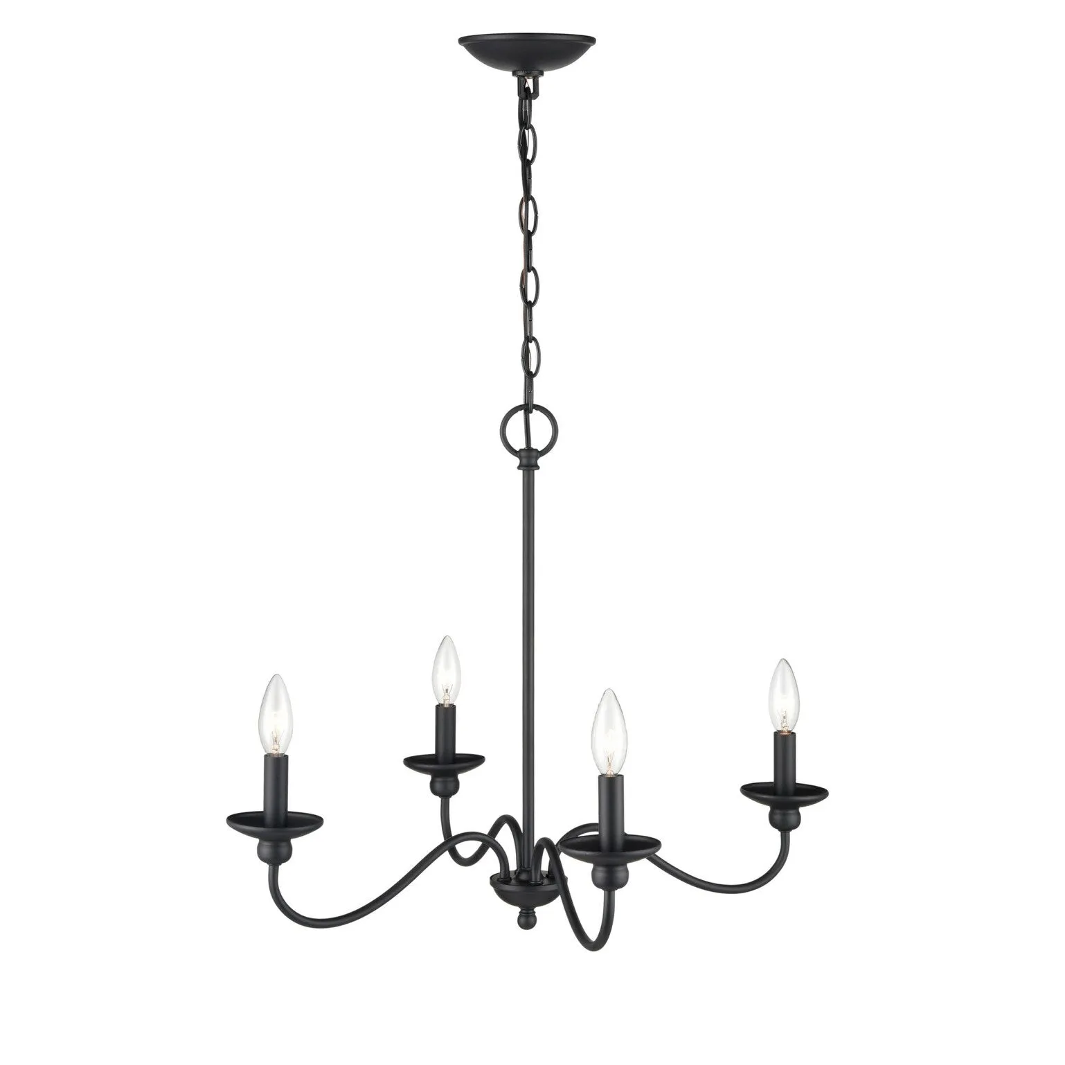 Millennium Lighting Delvona 4 Light 24 Wide Chandelier