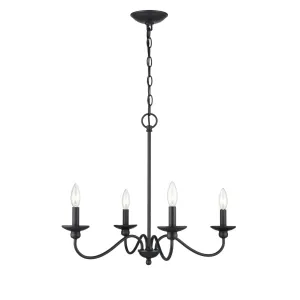 Millennium Lighting Delvona 4 Light 24 Wide Chandelier