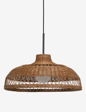 Ochoa Pendant Light