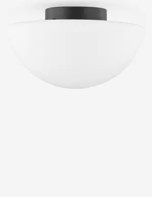 Osip Flush Mount