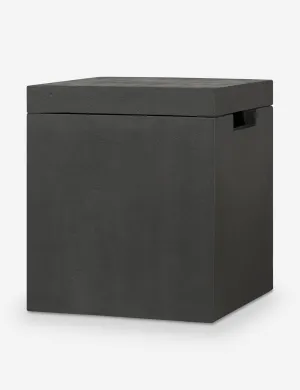 Pascual Propane Tank Cover