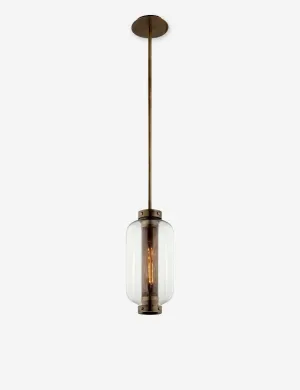 Romelia Outdoor Pendant Light