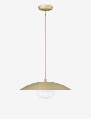 Shah Pendant Light