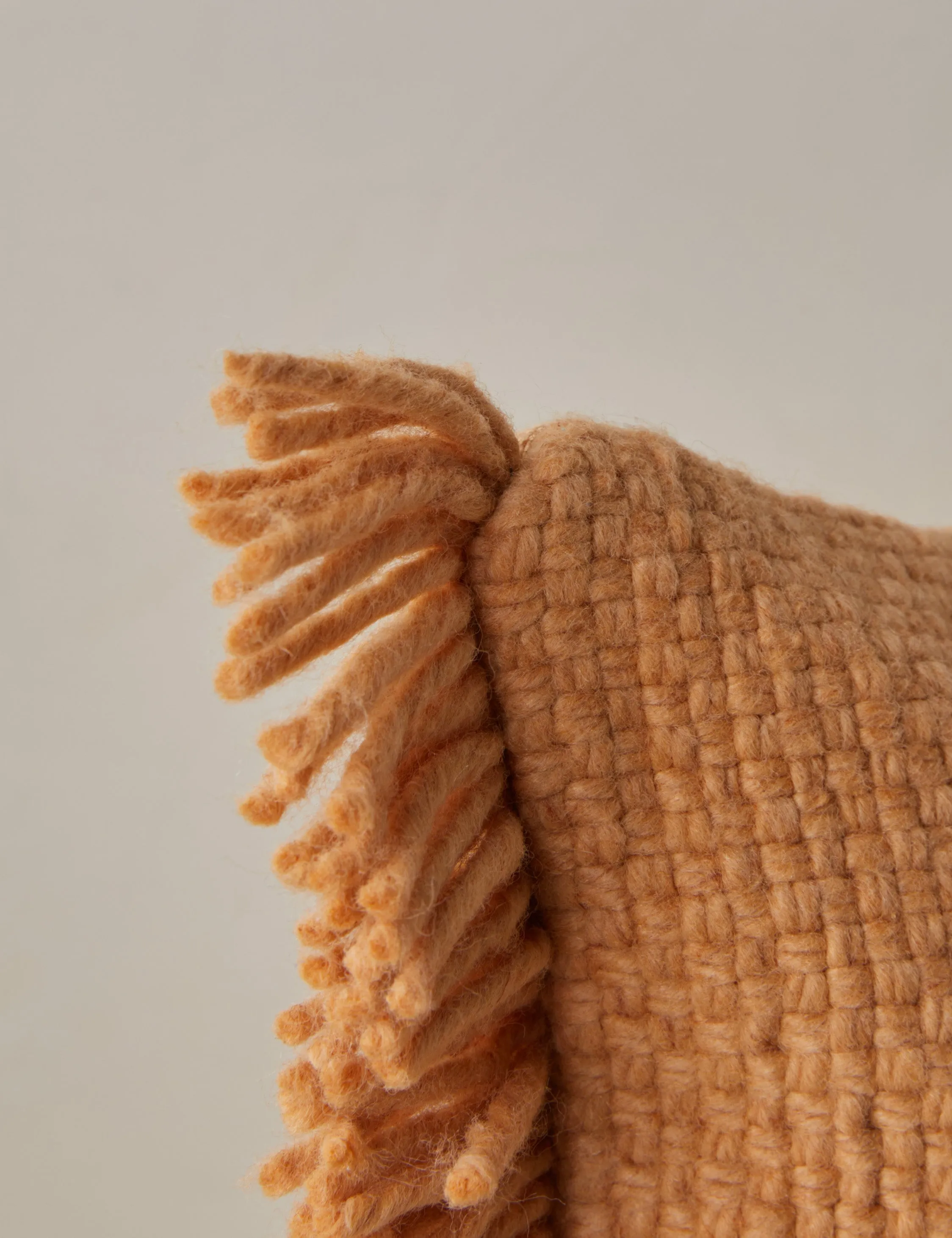 Thorpe Indoor / Outdoor Pillow