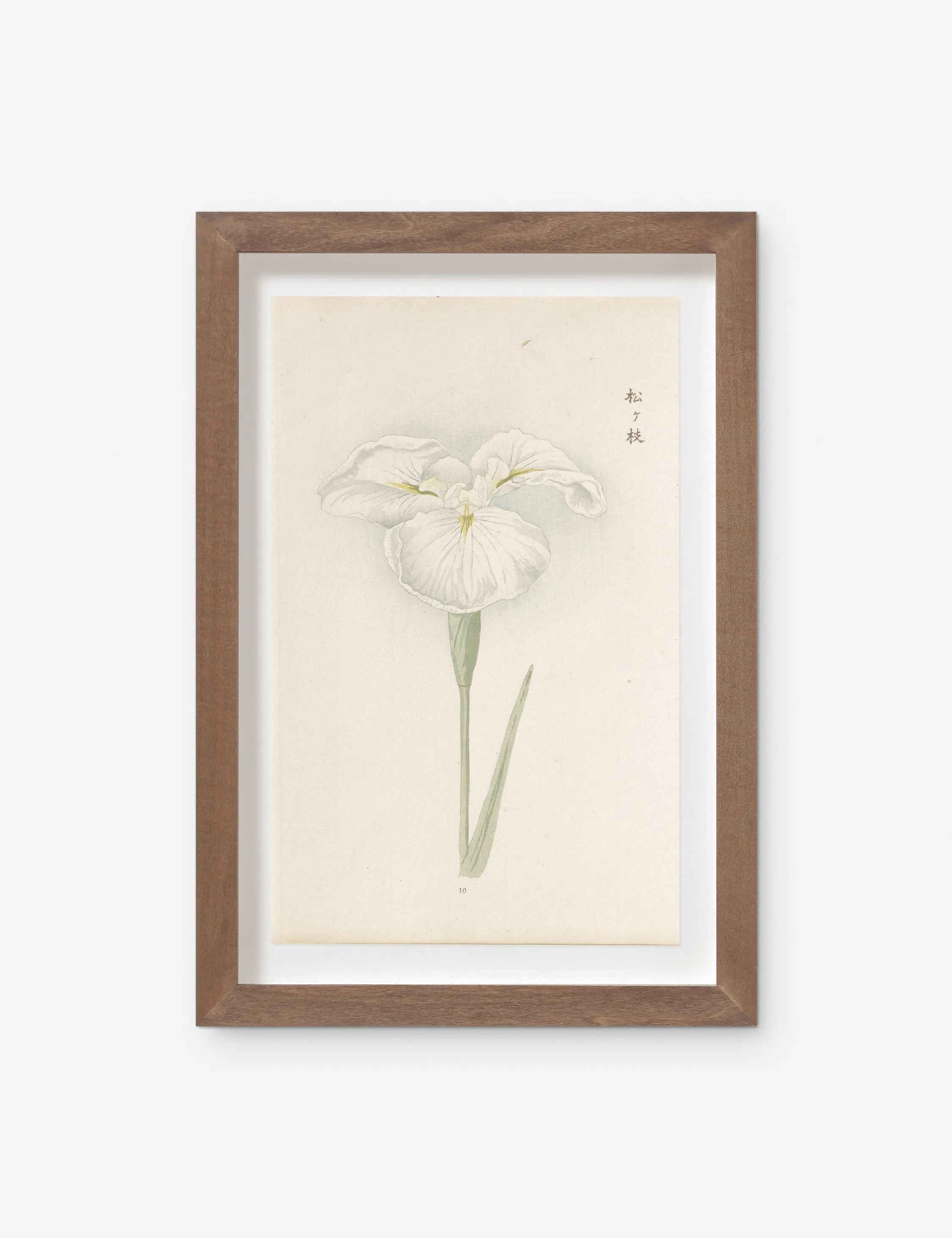 Vintage Japanese Iris No. 10 Wall Art by Miyoshi Manabu
