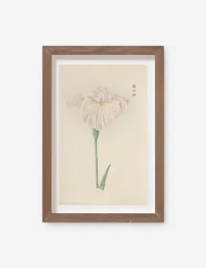 Vintage Japanese Iris No. 22 Wall Art by Miyoshi Manabu