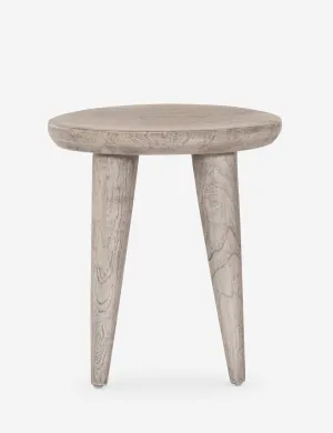 Walden Indoor / Outdoor Side Table