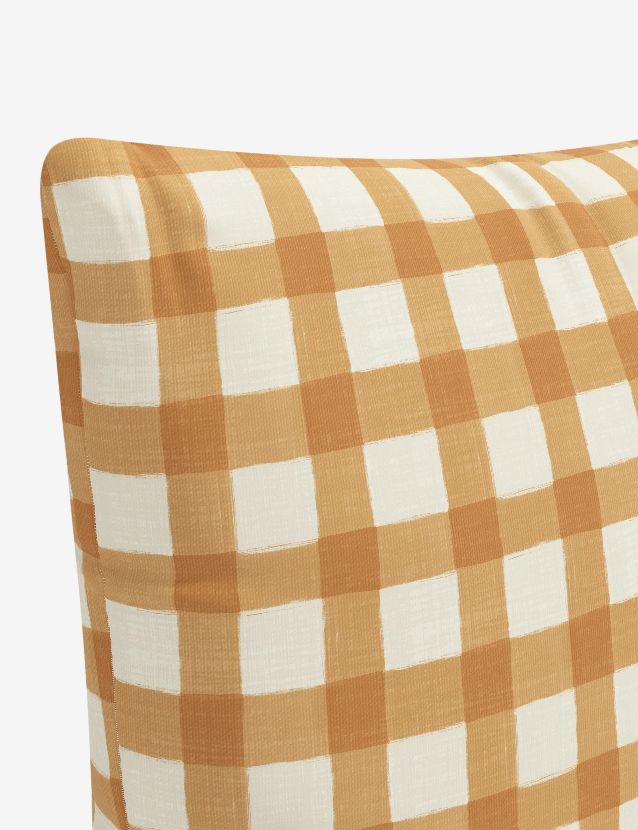 Whitten Indoor / Outdoor Pillow