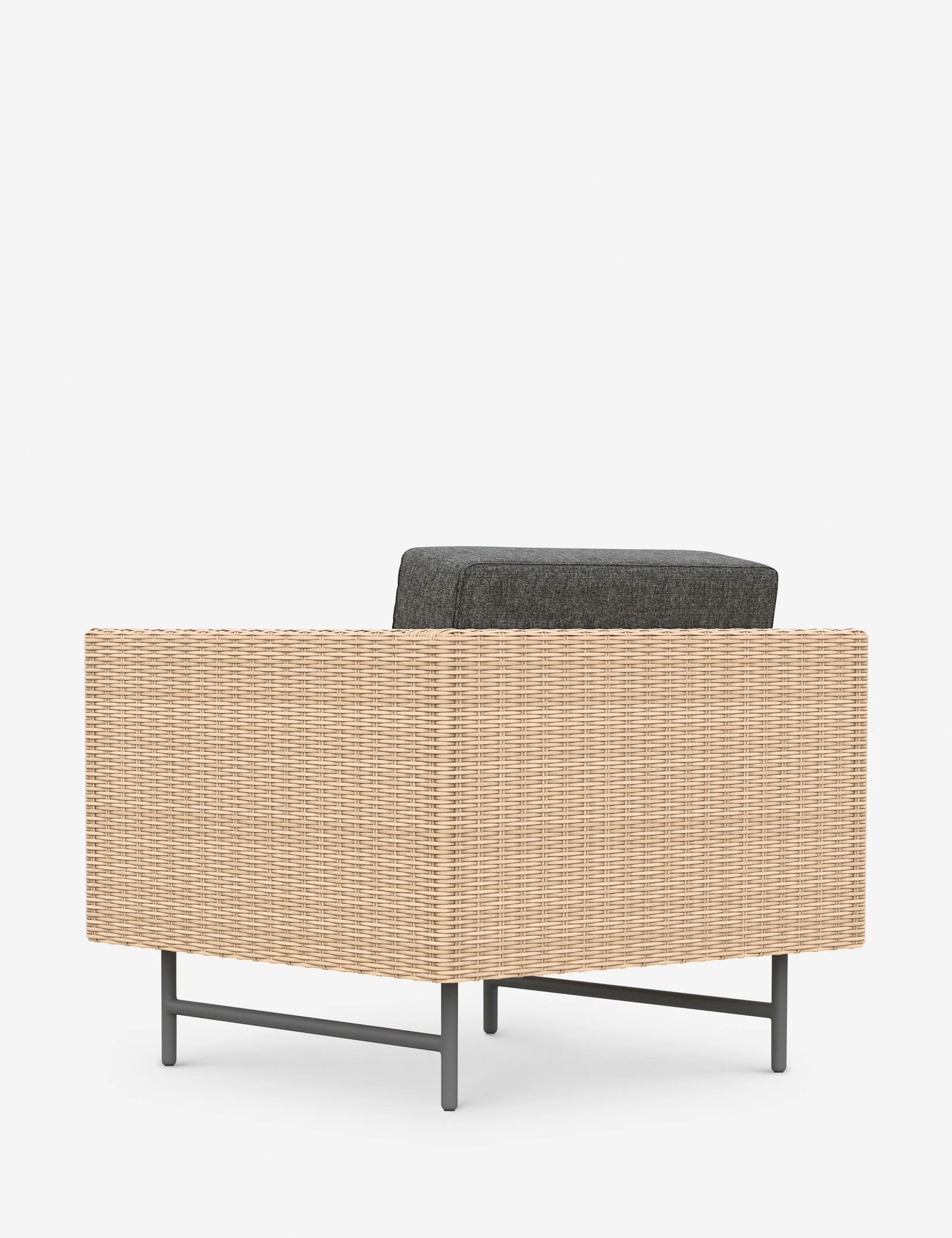 Wilde Indoor / Outdoor Accent Chair
