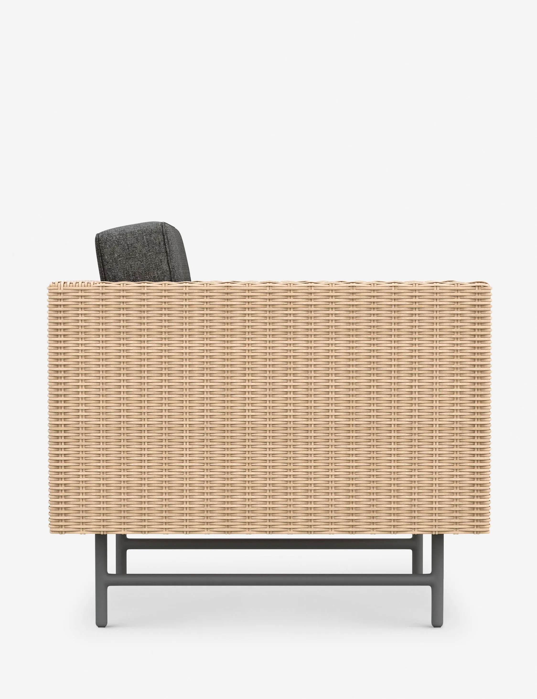 Wilde Indoor / Outdoor Accent Chair